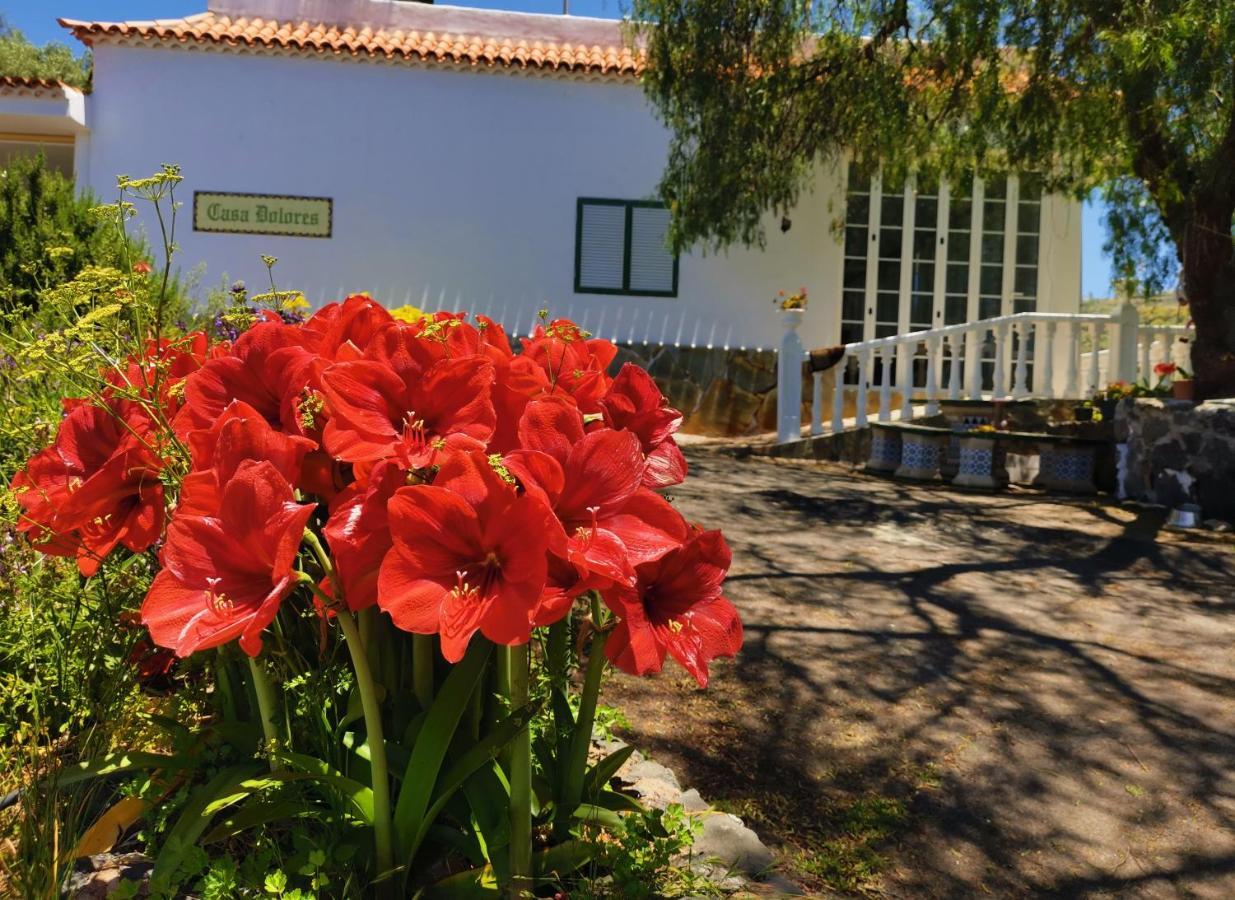 Casa Rural Dolores En Adeje Адехе Экстерьер фото