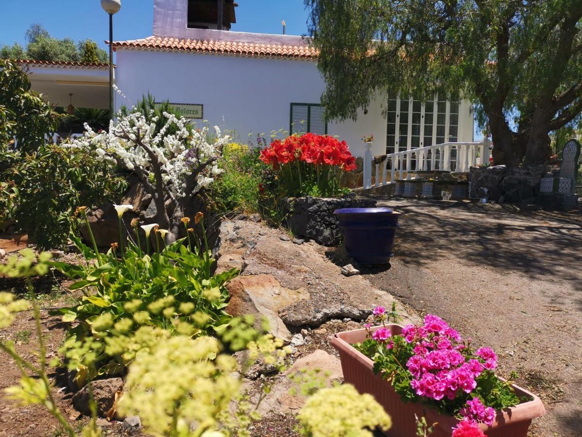 Casa Rural Dolores En Adeje Адехе Экстерьер фото