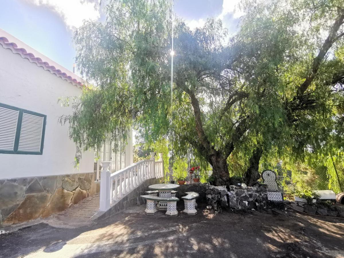Casa Rural Dolores En Adeje Адехе Экстерьер фото